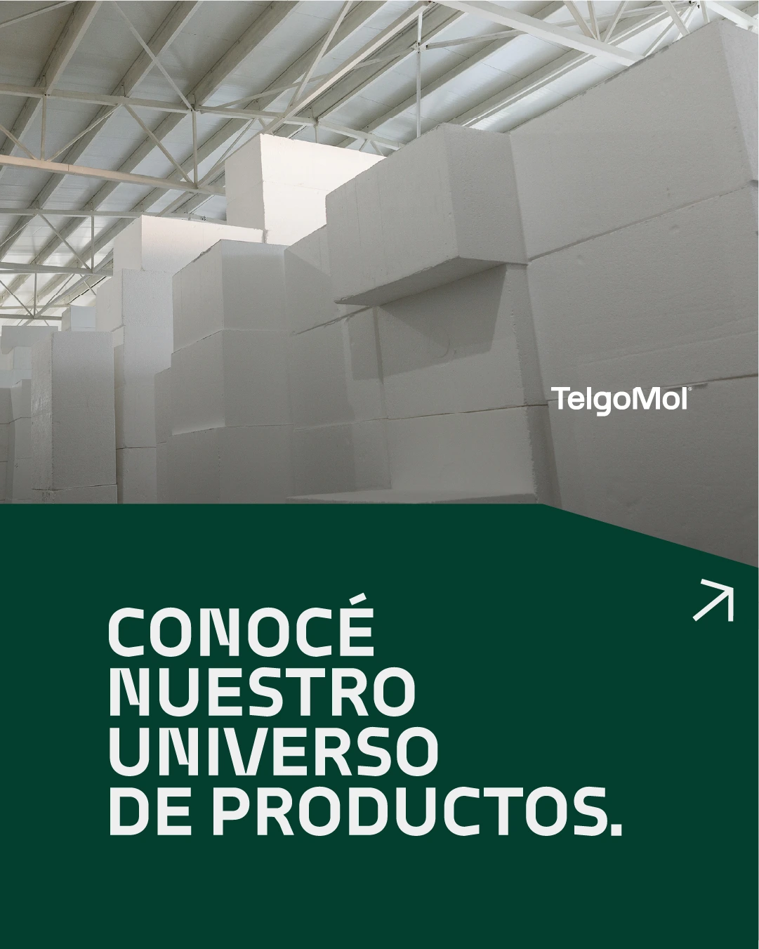Variedad de productos de EPS de Telgomol: bloques, placas, molones y listones a medida